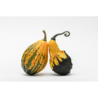 Opo Squash - 1 Pound